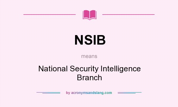 What does NSIB mean? It stands for National Security Intelligence Branch
