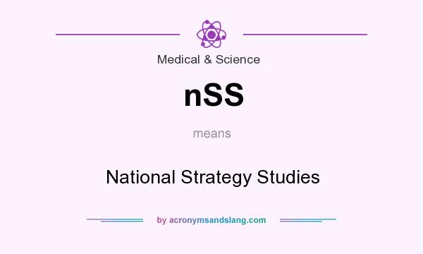 What does nSS mean? It stands for National Strategy Studies