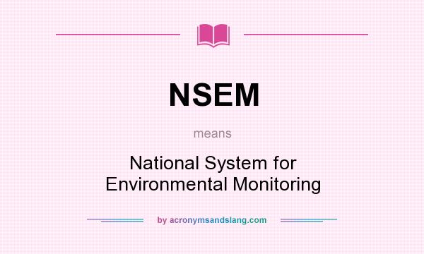 What does NSEM mean? It stands for National System for Environmental Monitoring