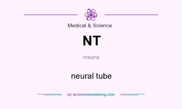 What does NT mean? It stands for neural tube