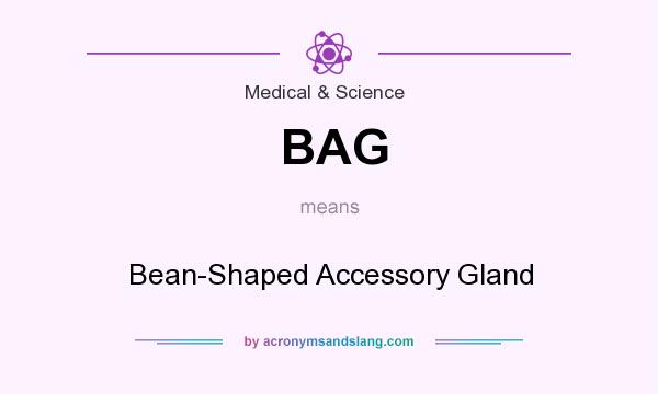 What does BAG mean? It stands for Bean-Shaped Accessory Gland