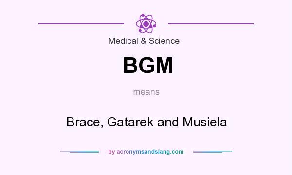 What does BGM mean? It stands for Brace, Gatarek and Musiela
