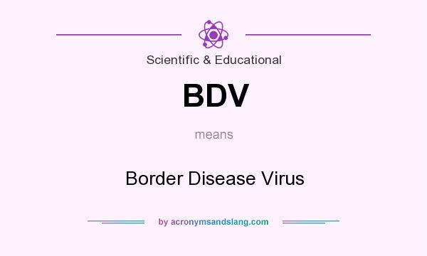 What does BDV mean? It stands for Border Disease Virus