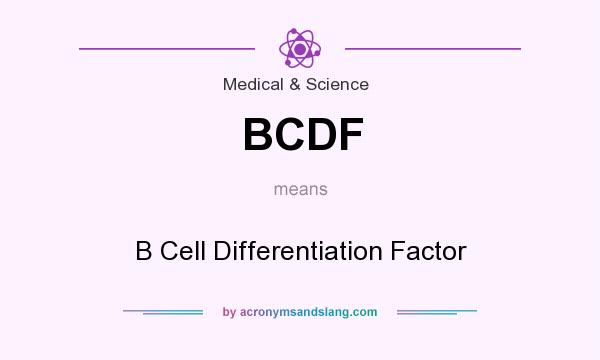 What does BCDF mean? It stands for B Cell Differentiation Factor