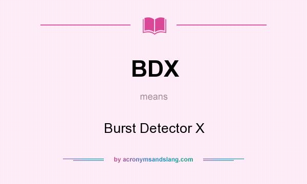 What does BDX mean? It stands for Burst Detector X