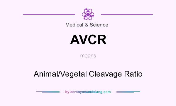 What does AVCR mean? It stands for Animal/Vegetal Cleavage Ratio