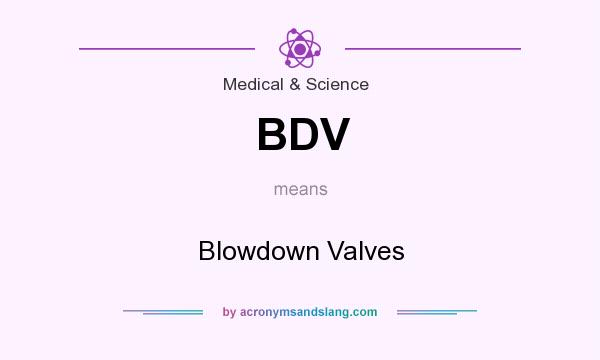 What does BDV mean? It stands for Blowdown Valves