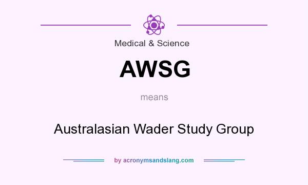 What does AWSG mean? It stands for Australasian Wader Study Group