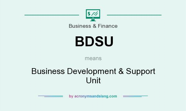 What does BDSU mean? It stands for Business Development & Support Unit