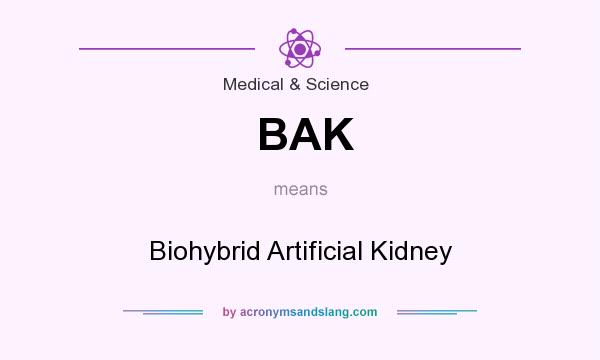 What does BAK mean? It stands for Biohybrid Artificial Kidney
