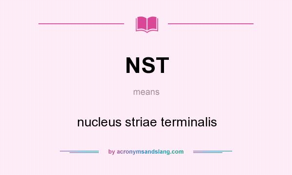 What does NST mean? It stands for nucleus striae terminalis