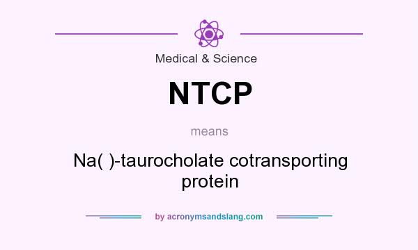 What does NTCP mean? It stands for Na( )-taurocholate cotransporting protein
