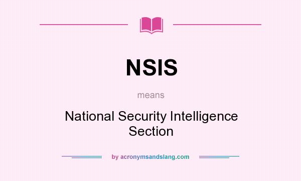 What does NSIS mean? It stands for National Security Intelligence Section