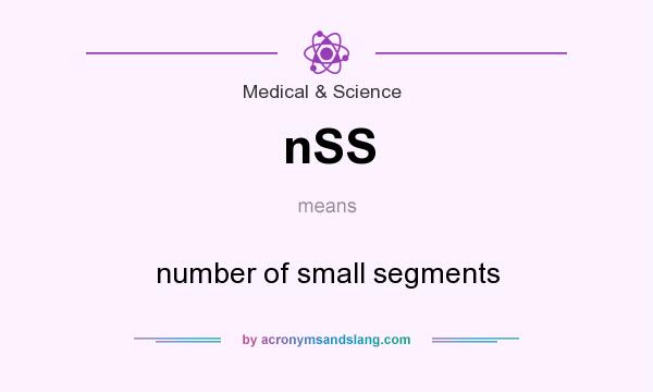 What does nSS mean? It stands for number of small segments