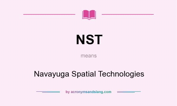 What does NST mean? It stands for Navayuga Spatial Technologies