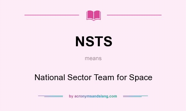 What does NSTS mean? It stands for National Sector Team for Space