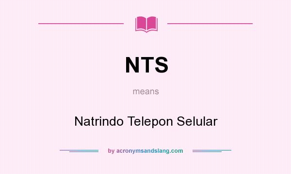 What does NTS mean? It stands for Natrindo Telepon Selular