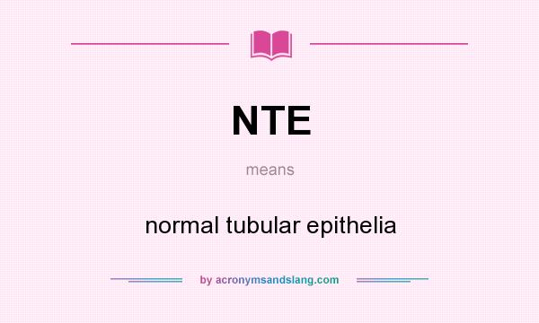 What does NTE mean? It stands for normal tubular epithelia