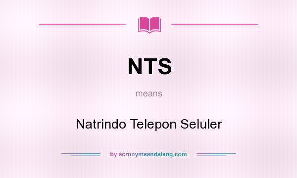 What does NTS mean? It stands for Natrindo Telepon Seluler