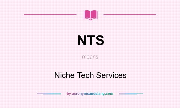 What does NTS mean? It stands for Niche Tech Services