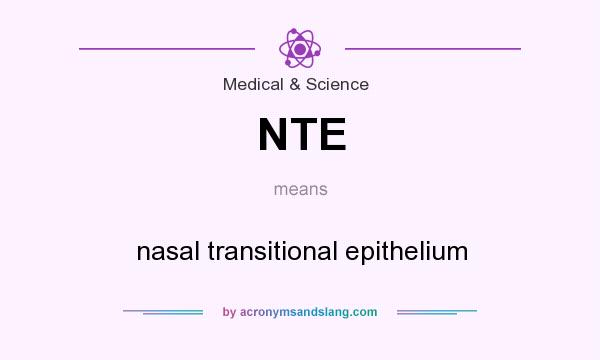 What does NTE mean? It stands for nasal transitional epithelium
