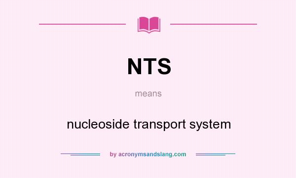 What does NTS mean? It stands for nucleoside transport system