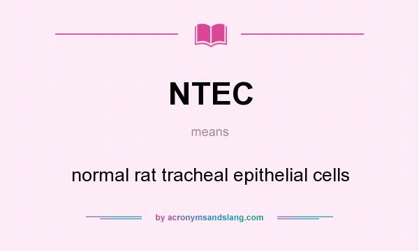 What does NTEC mean? It stands for normal rat tracheal epithelial cells