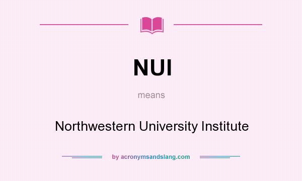 What does NUI mean? It stands for Northwestern University Institute