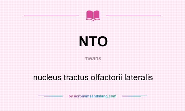 What does NTO mean? It stands for nucleus tractus olfactorii lateralis