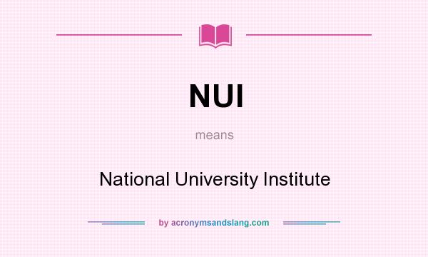 What does NUI mean? It stands for National University Institute