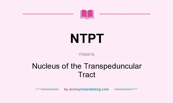 What does NTPT mean? It stands for Nucleus of the Transpeduncular Tract