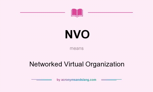 What does NVO mean? It stands for Networked Virtual Organization