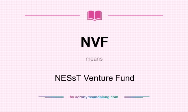 What does NVF mean? It stands for NESsT Venture Fund