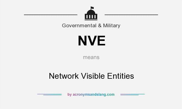 What does NVE mean? It stands for Network Visible Entities