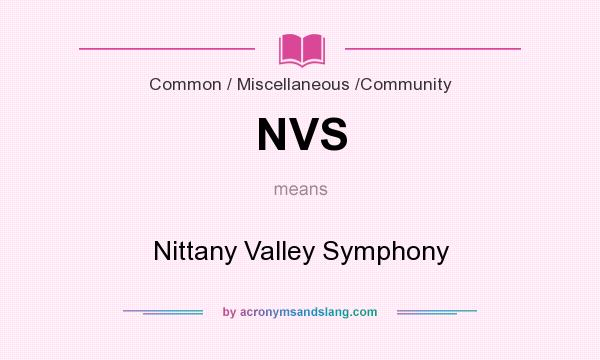 What does NVS mean? It stands for Nittany Valley Symphony