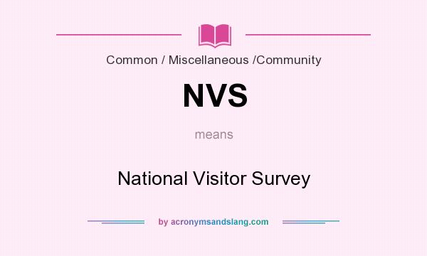 What does NVS mean? It stands for National Visitor Survey