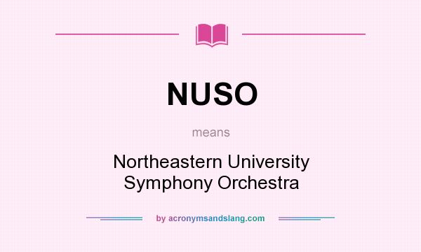 What does NUSO mean? It stands for Northeastern University Symphony Orchestra