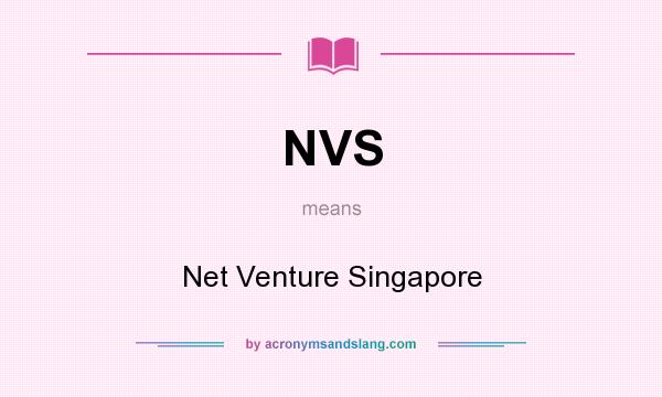 What does NVS mean? It stands for Net Venture Singapore