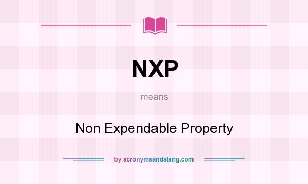 What does NXP mean? It stands for Non Expendable Property