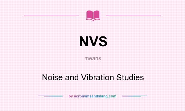 What does NVS mean? It stands for Noise and Vibration Studies