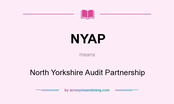 What does NYAP mean? It stands for North Yorkshire Audit Partnership