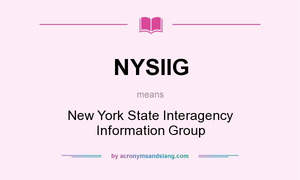 What does NYSIIG mean? It stands for New York State Interagency Information Group