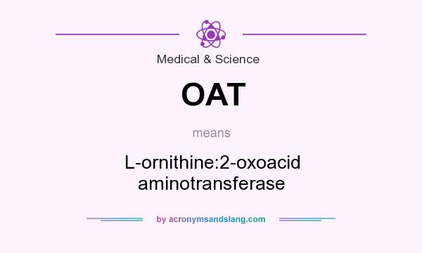 What does OAT mean? It stands for L-ornithine:2-oxoacid aminotransferase