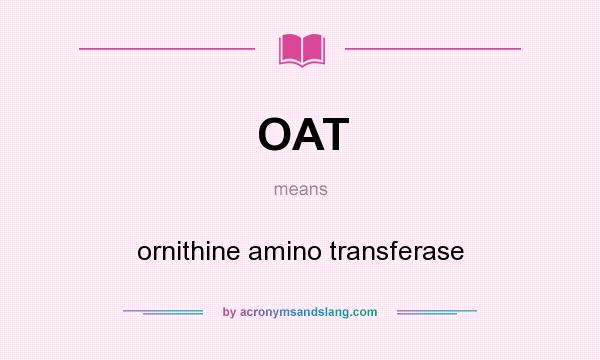 What does OAT mean? It stands for ornithine amino transferase