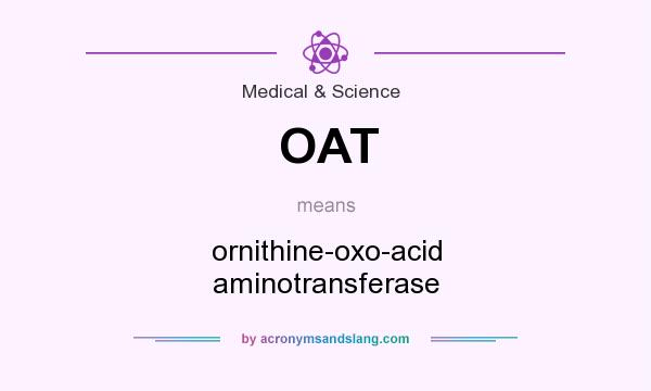 What does OAT mean? It stands for ornithine-oxo-acid aminotransferase
