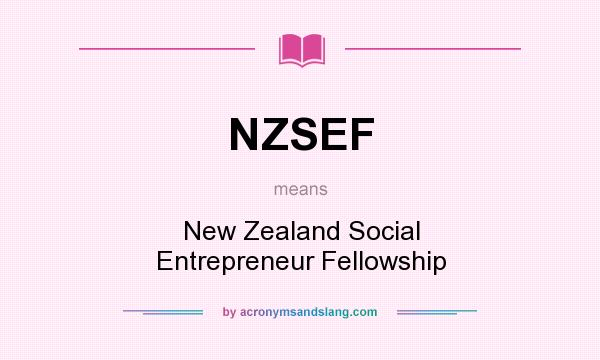 What does NZSEF mean? It stands for New Zealand Social Entrepreneur Fellowship