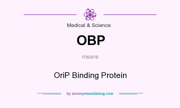 What does OBP mean? It stands for OriP Binding Protein