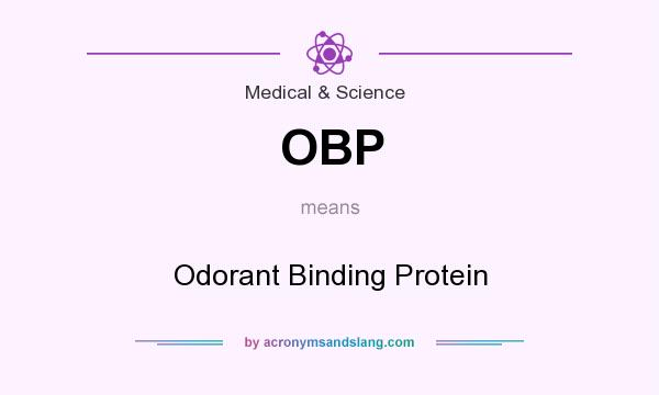 What does OBP mean? It stands for Odorant Binding Protein