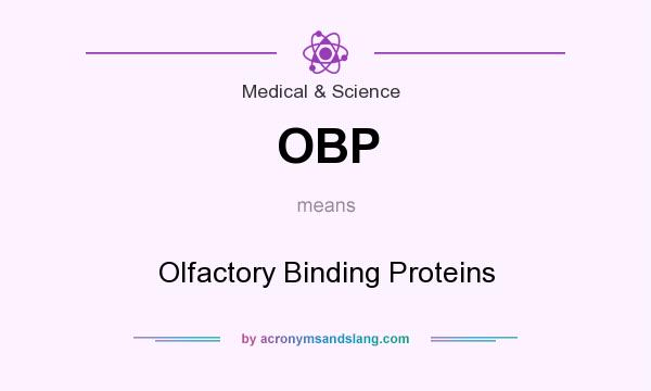 What does OBP mean? It stands for Olfactory Binding Proteins