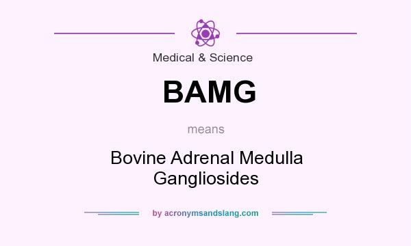 What does BAMG mean? It stands for Bovine Adrenal Medulla Gangliosides